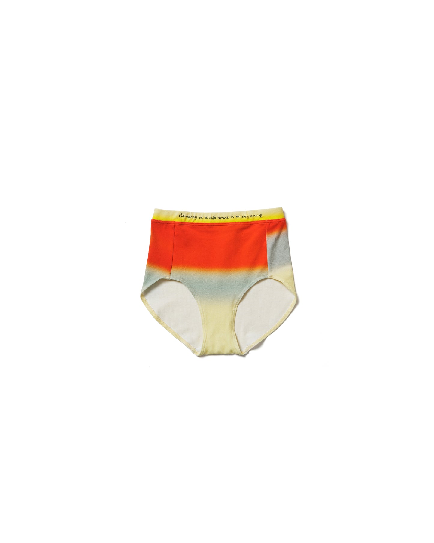 opnner ×HEAP “Explorer” shorts